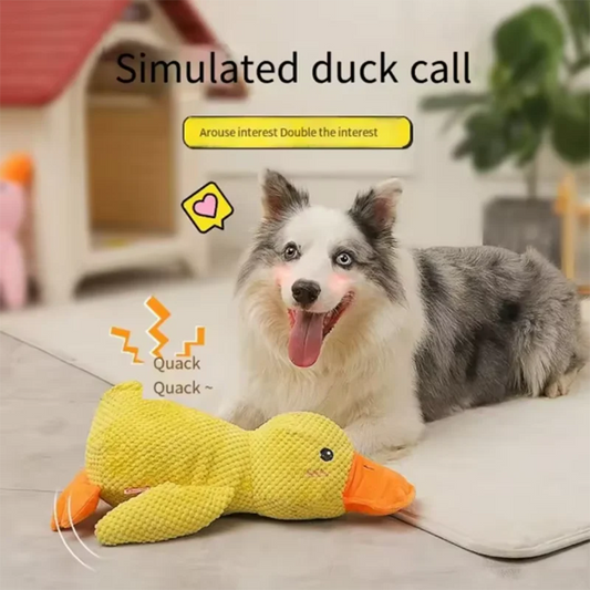 CuddleDuck