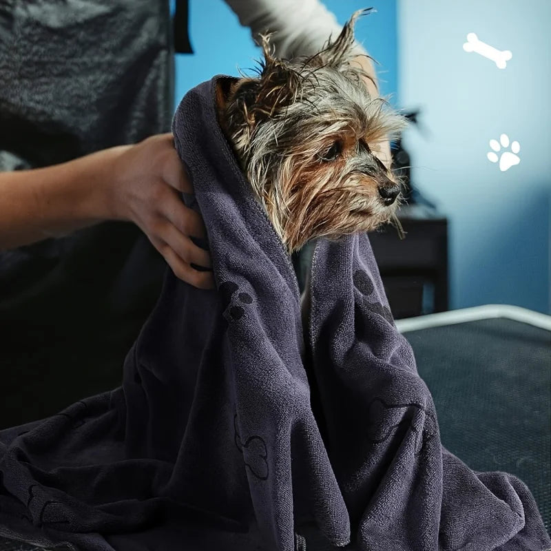 DryPaws™