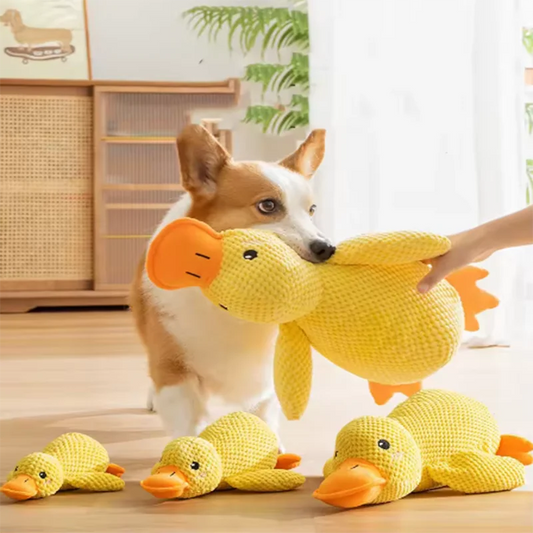 CuddleDuck