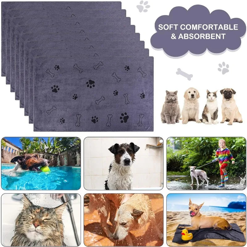 DryPaws™